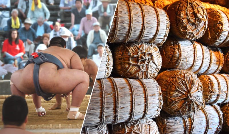 『力士とペリー提督の関係』アイキャッチ