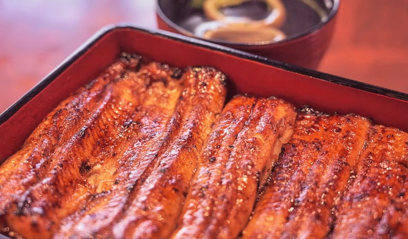 ウナギの本当の旬 - アイキャッチ